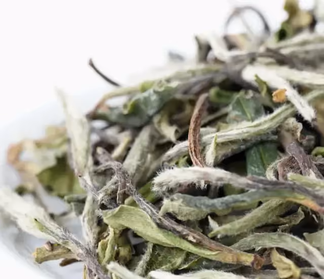 White Peony (Bai Mu Dan)